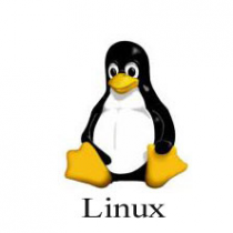 Logo linux
