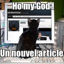 geek cat informateque